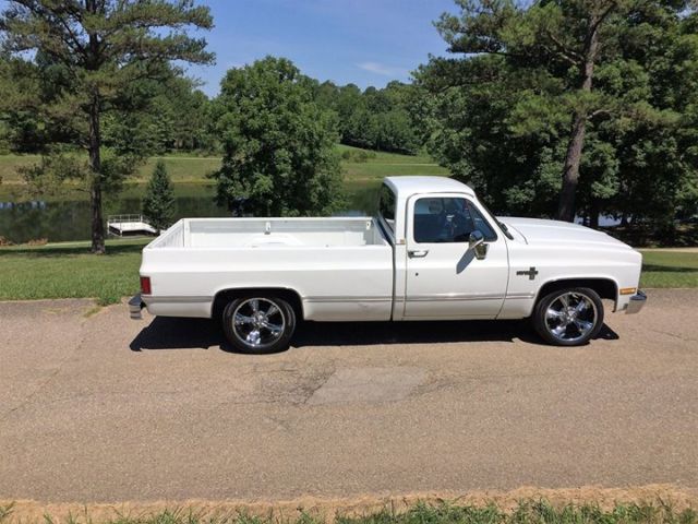 1987 Chevrolet Other Pickups Silverado Standard Cab Pickup 2-Door - photo 5