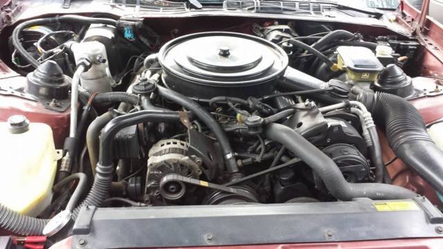 1987 Pontiac Trans Am - photo 6