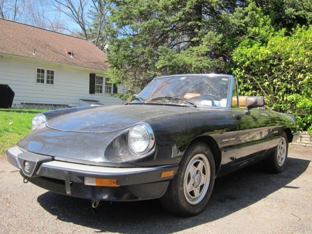 1987 Alfa Romeo Spider Veloce