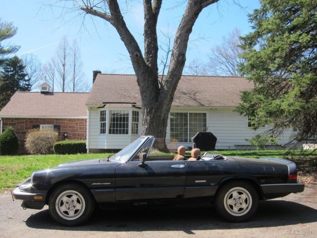 1987 Alfa Romeo Spider Veloce - photo 2