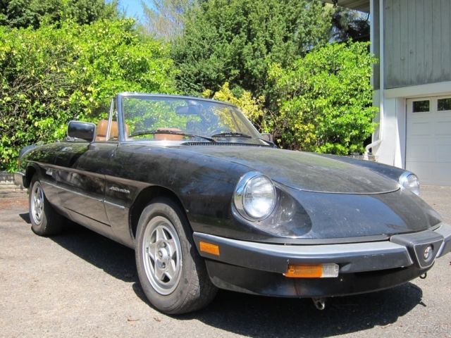 1987 Alfa Romeo Spider Veloce - photo 3