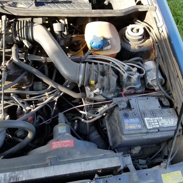 1987 Volkswagen Cabrio - photo 13