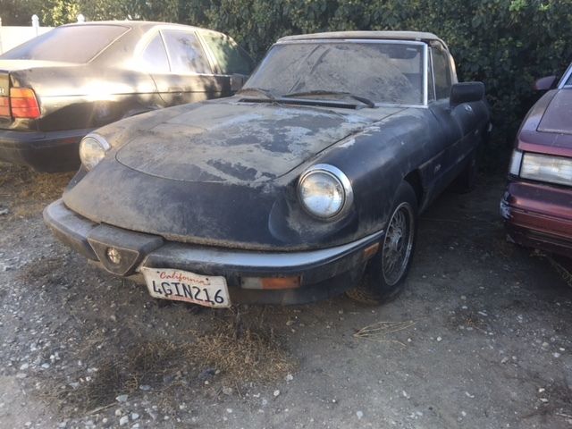 1988 Alfa Romeo Spider GRADUATE