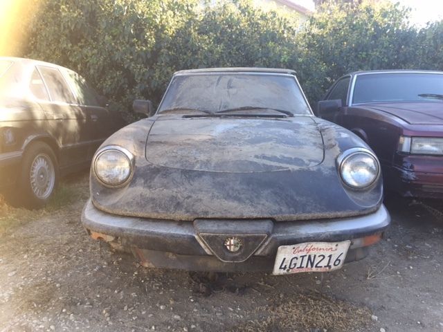 1988 Alfa Romeo Spider GRADUATE - photo 2