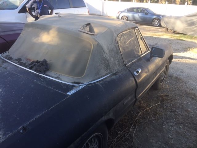 1988 Alfa Romeo Spider GRADUATE - photo 3