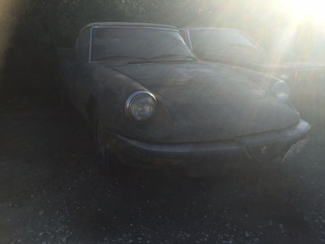 1988 Alfa Romeo Spider GRADUATE - photo 5