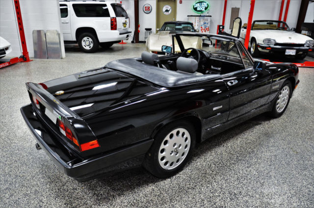 1988 Alfa Romeo Spider Quadrifoglio - photo 11
