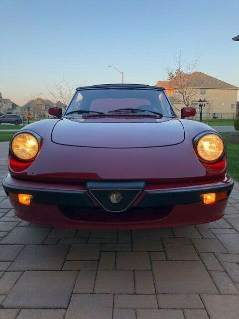 1988 Alfa Romeo Spider Quadrifolglio - photo 8