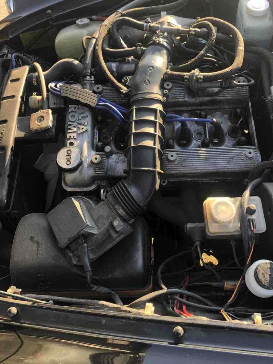 1988 Alfa Romeo Spider GRADUATE - photo 8