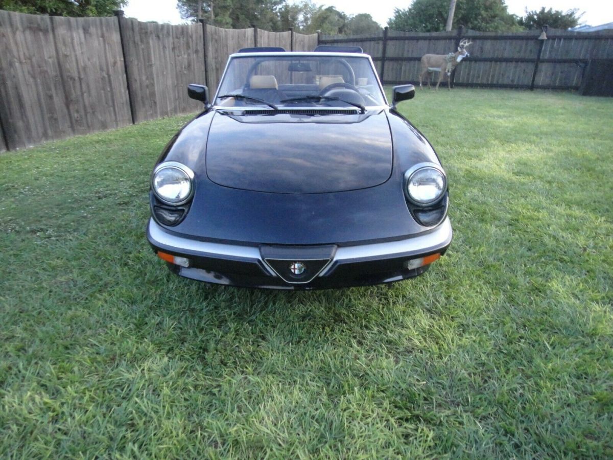 1988 Alfa Romeo Spider GRADUATE - photo 2
