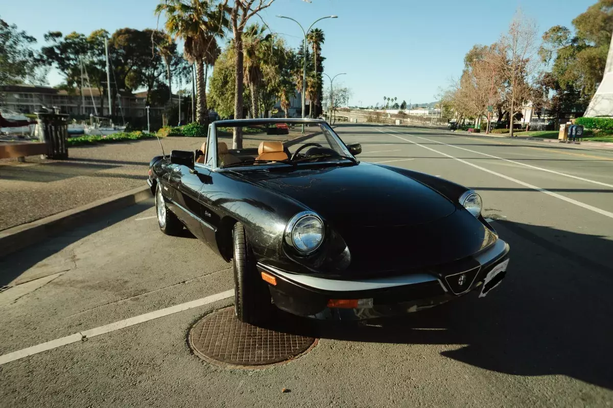 1988 Alfa Romeo Spider
