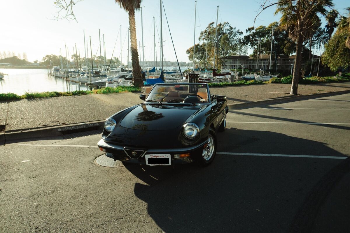 1988 Alfa Romeo Spider - photo 2