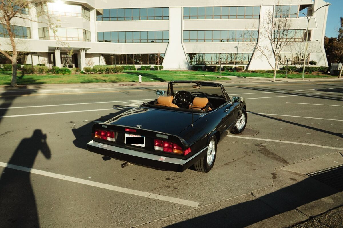 1988 Alfa Romeo Spider - photo 3