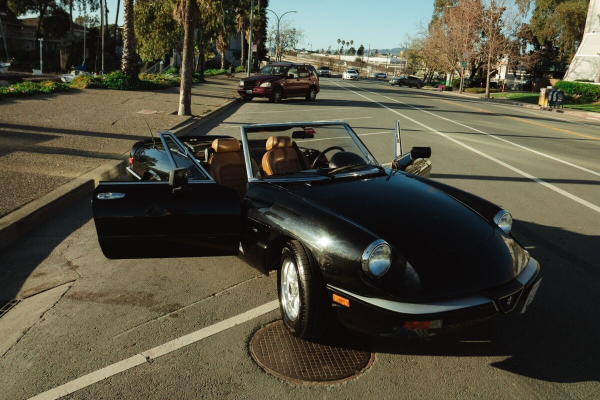 1988 Alfa Romeo Spider - photo 5