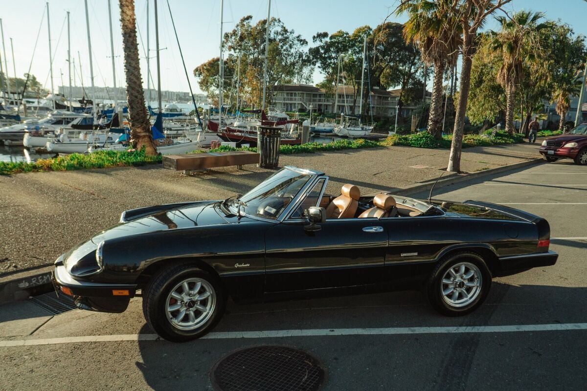 1988 Alfa Romeo Spider - photo 7