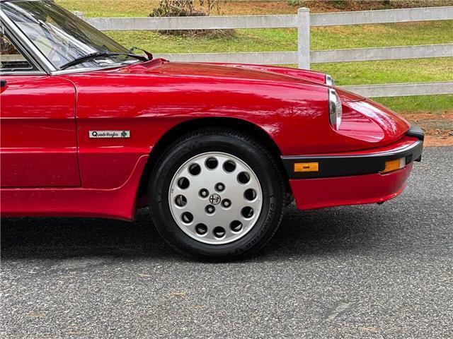 1988 Alfa Romeo Spider Quadrifoglio - photo 11
