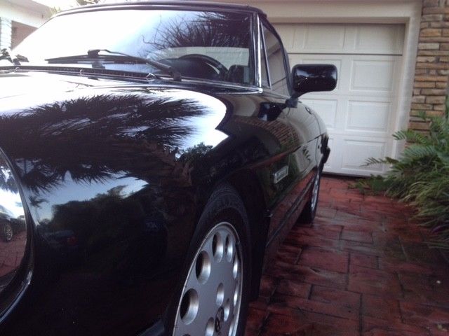 1988 Alfa Romeo Spider Quadrifoglio - photo 3