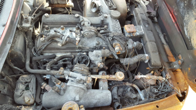 1988 Alfa Romeo Spider - photo 5