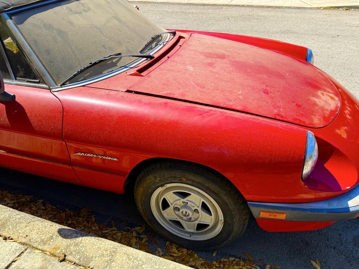 1988 Alfa Romeo Spider VELOCE - photo 11