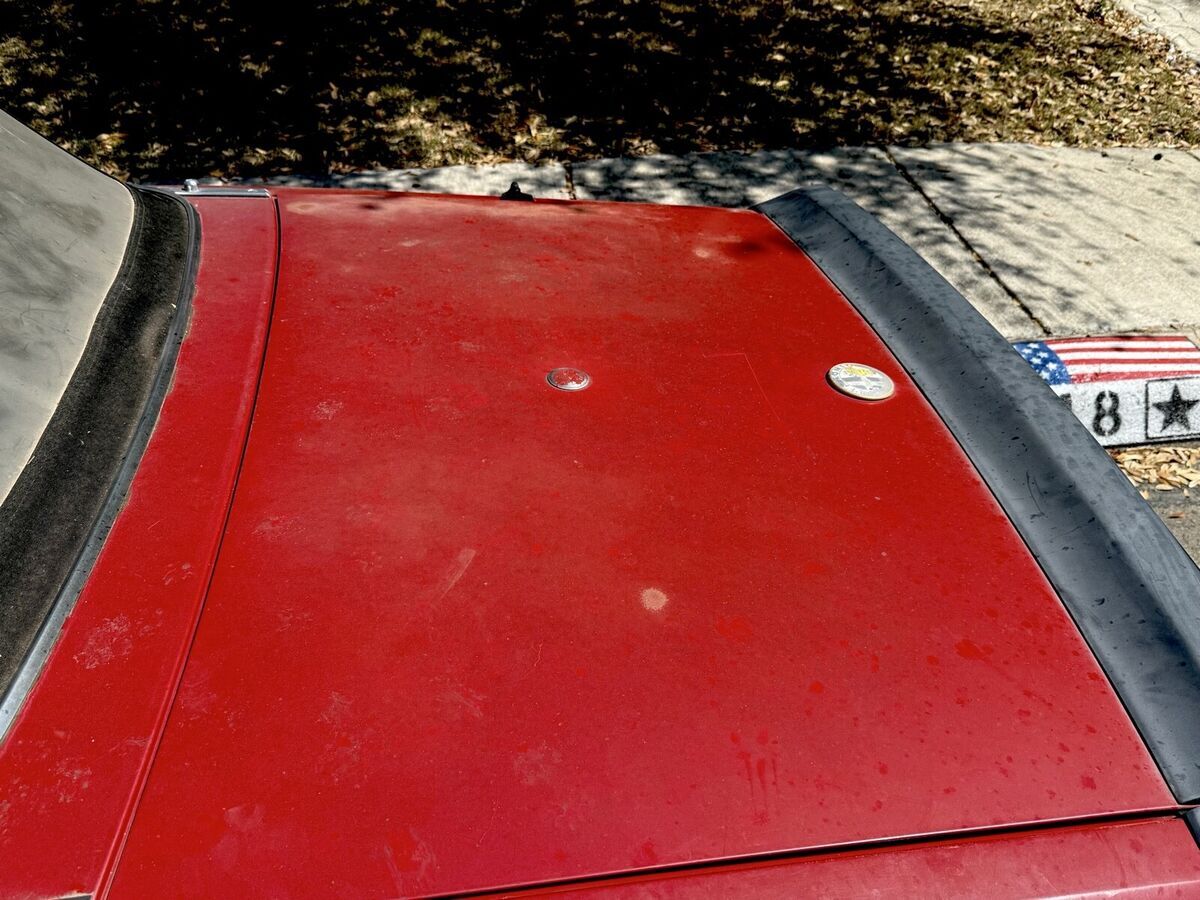 1988 Alfa Romeo Spider VELOCE - photo 6