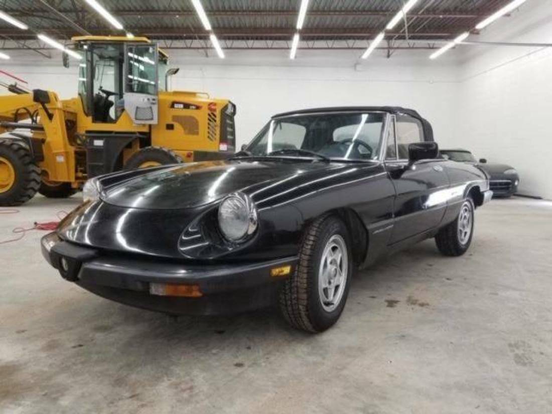 1988 Alfa Romeo Spider Veloce 2dr Convertible
