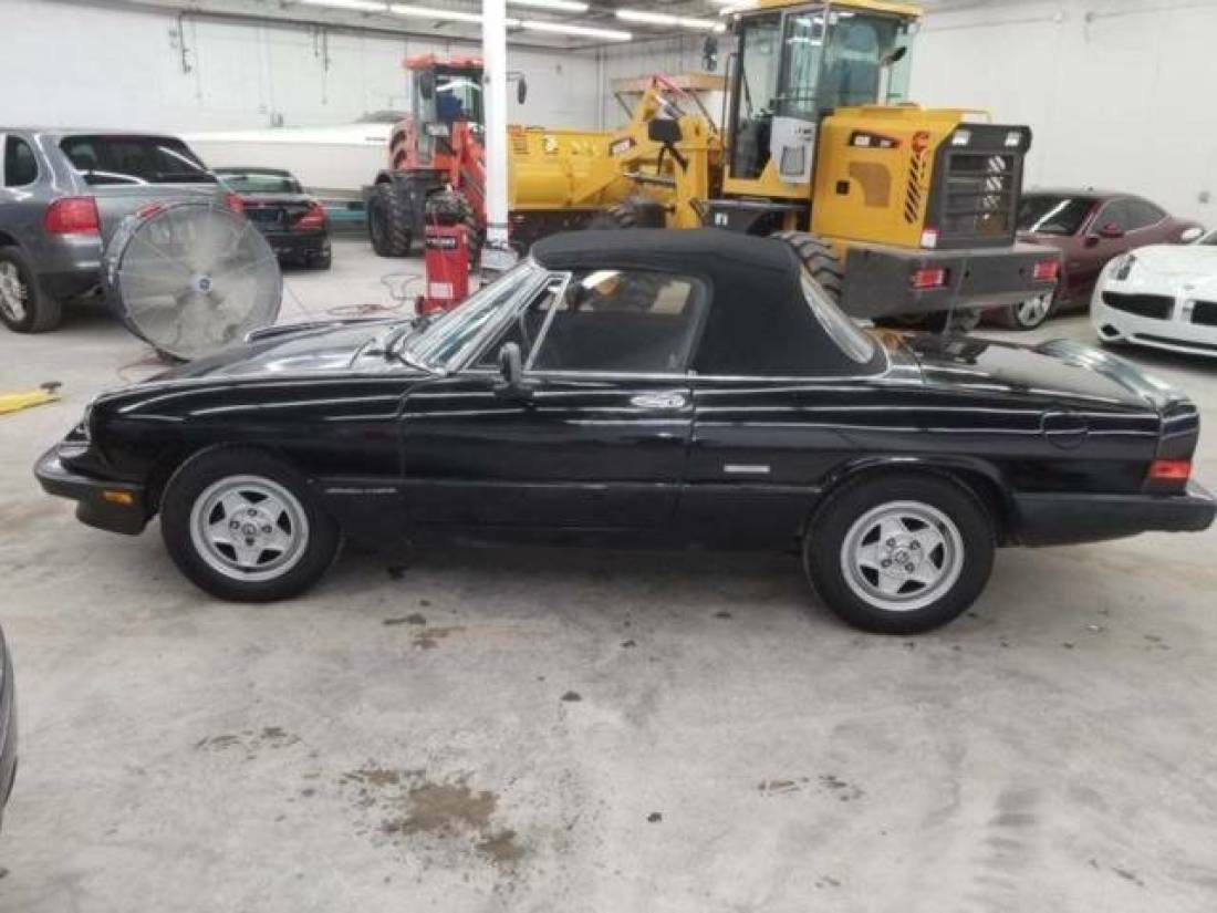 1988 Alfa Romeo Spider Veloce 2dr Convertible - photo 10