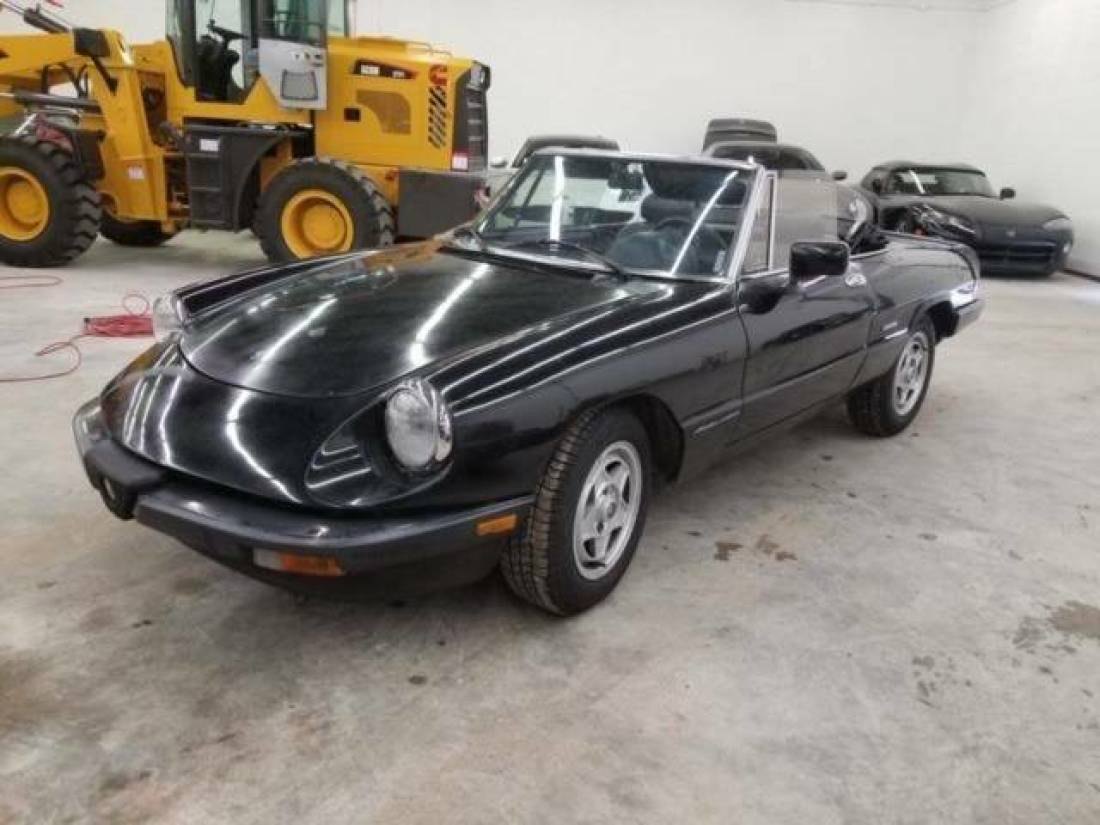 1988 Alfa Romeo Spider Veloce 2dr Convertible - photo 2