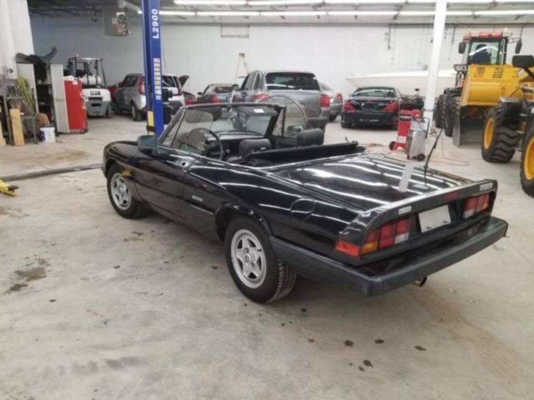 1988 Alfa Romeo Spider Veloce 2dr Convertible - photo 3