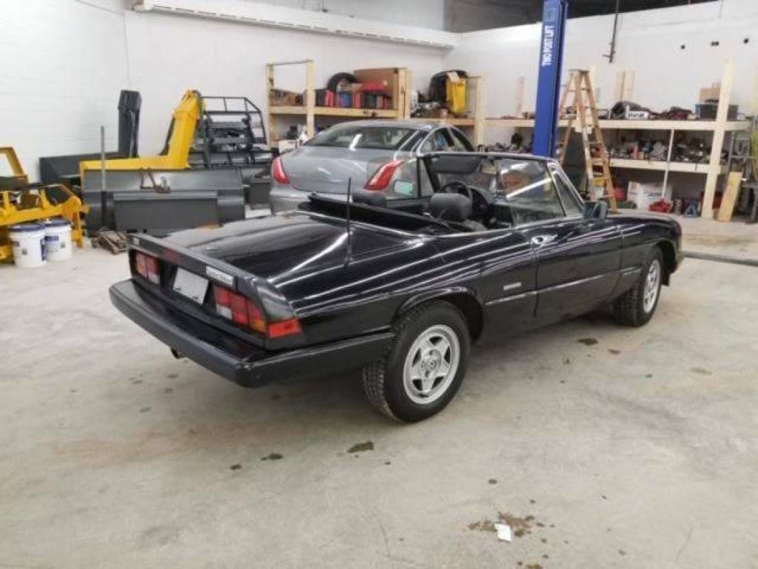 1988 Alfa Romeo Spider Veloce 2dr Convertible - photo 4