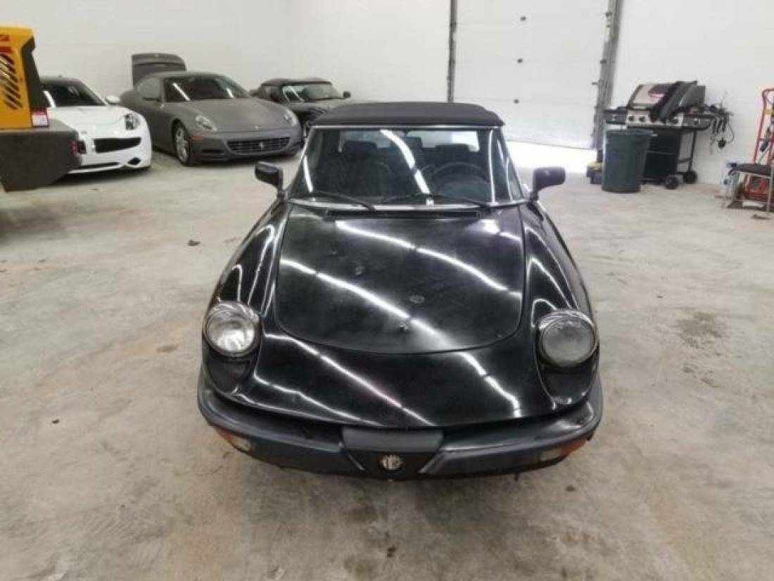 1988 Alfa Romeo Spider Veloce 2dr Convertible - photo 5