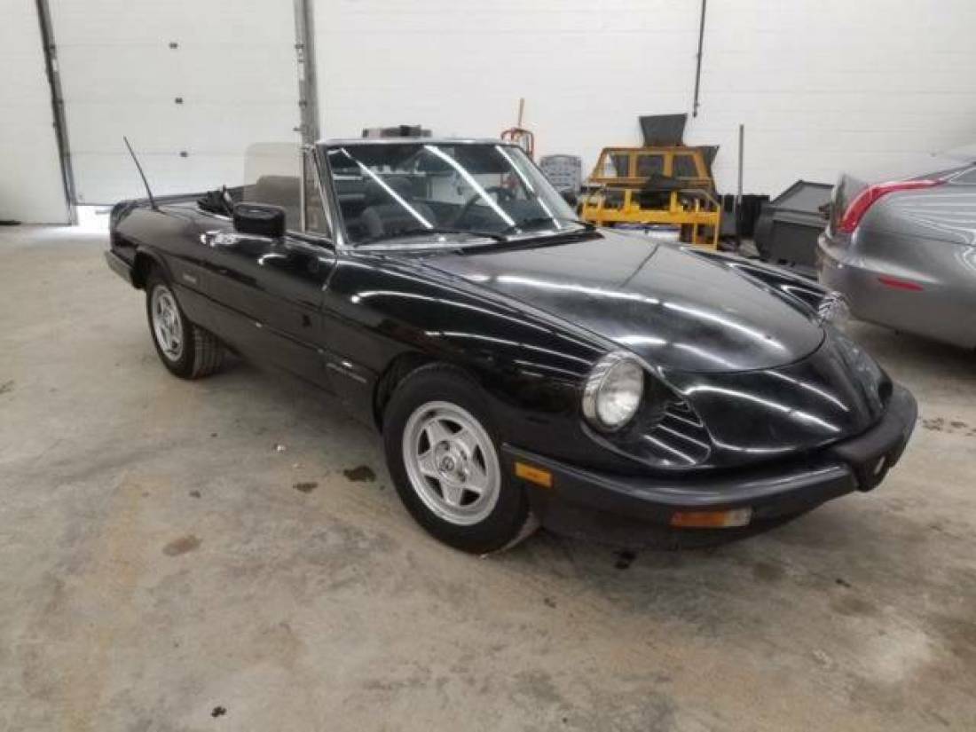 1988 Alfa Romeo Spider Veloce 2dr Convertible - photo 6