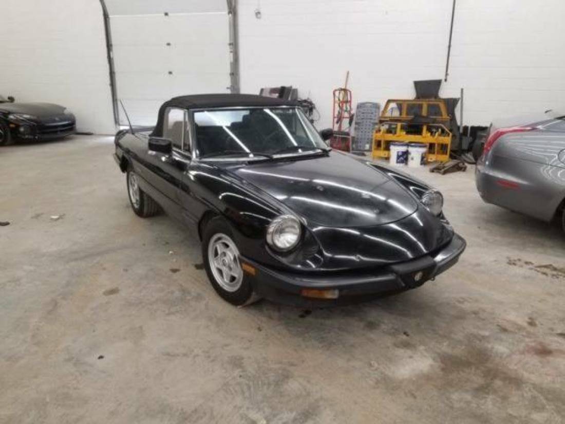 1988 Alfa Romeo Spider Veloce 2dr Convertible - photo 7