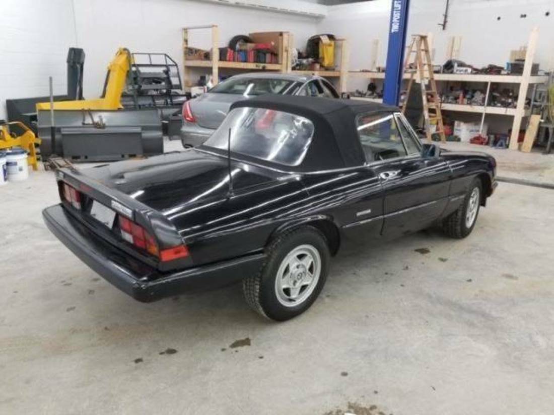 1988 Alfa Romeo Spider Veloce 2dr Convertible - photo 8