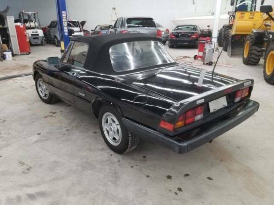 1988 Alfa Romeo Spider Veloce 2dr Convertible - photo 9