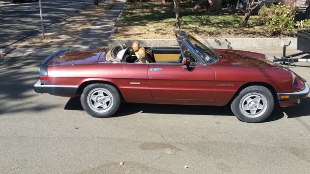 1988 Alfa Romeo Spider - photo 9