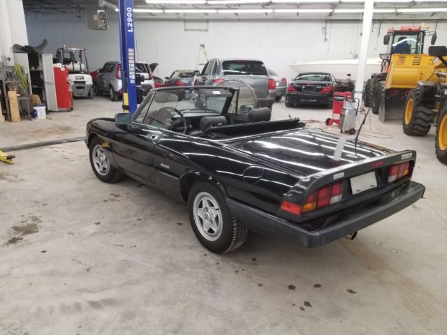 1988 Alfa Romeo Spider VELOCE - photo 8