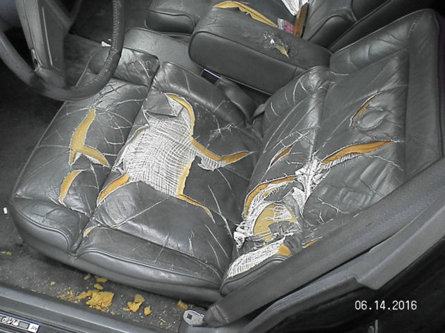 1988 Cadillac DeVille - photo 8