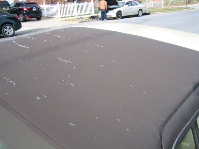 1988 Cadillac DeVille Standard - photo 11