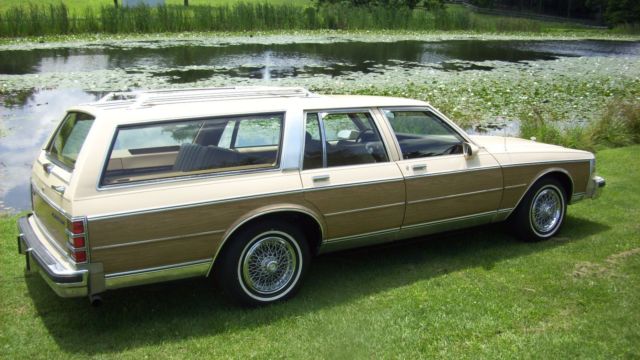 1988 Chevrolet Caprice - photo 9
