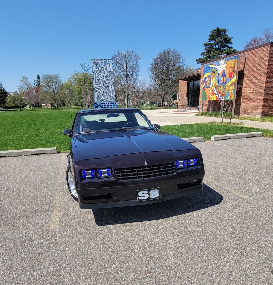 1988 Chevrolet Monte Carlo - photo 8