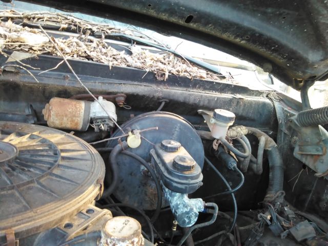 1988 Dodge Other Pickups D-100 - photo 13