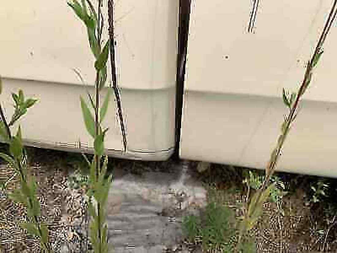 1988 Dodge D150 D150 - photo 10