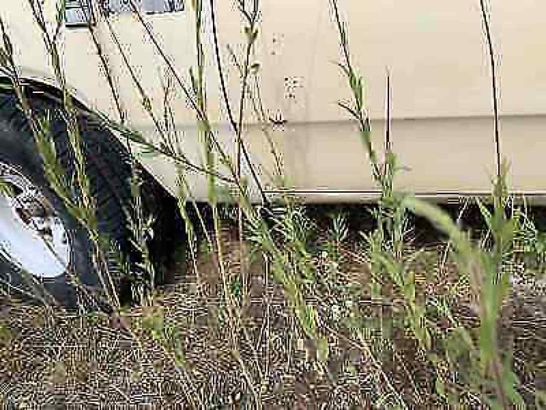 1988 Dodge D150 D150 - photo 12