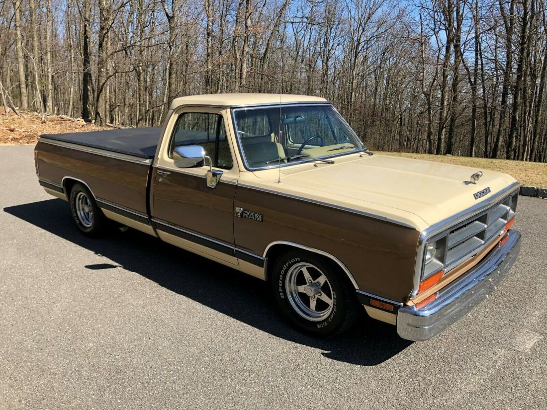 1988 Dodge Ram 1500 2 dr Pickup Truck - photo 10