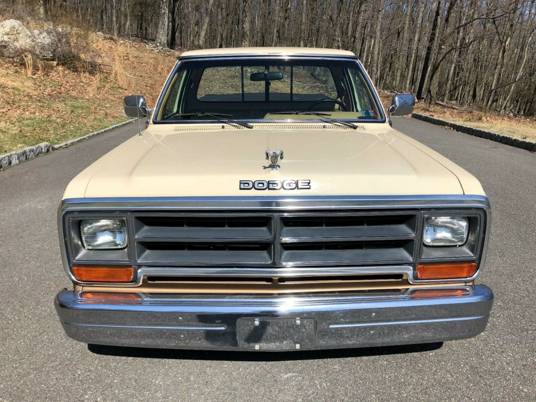 1988 Dodge Ram 1500 2 dr Pickup Truck - photo 12