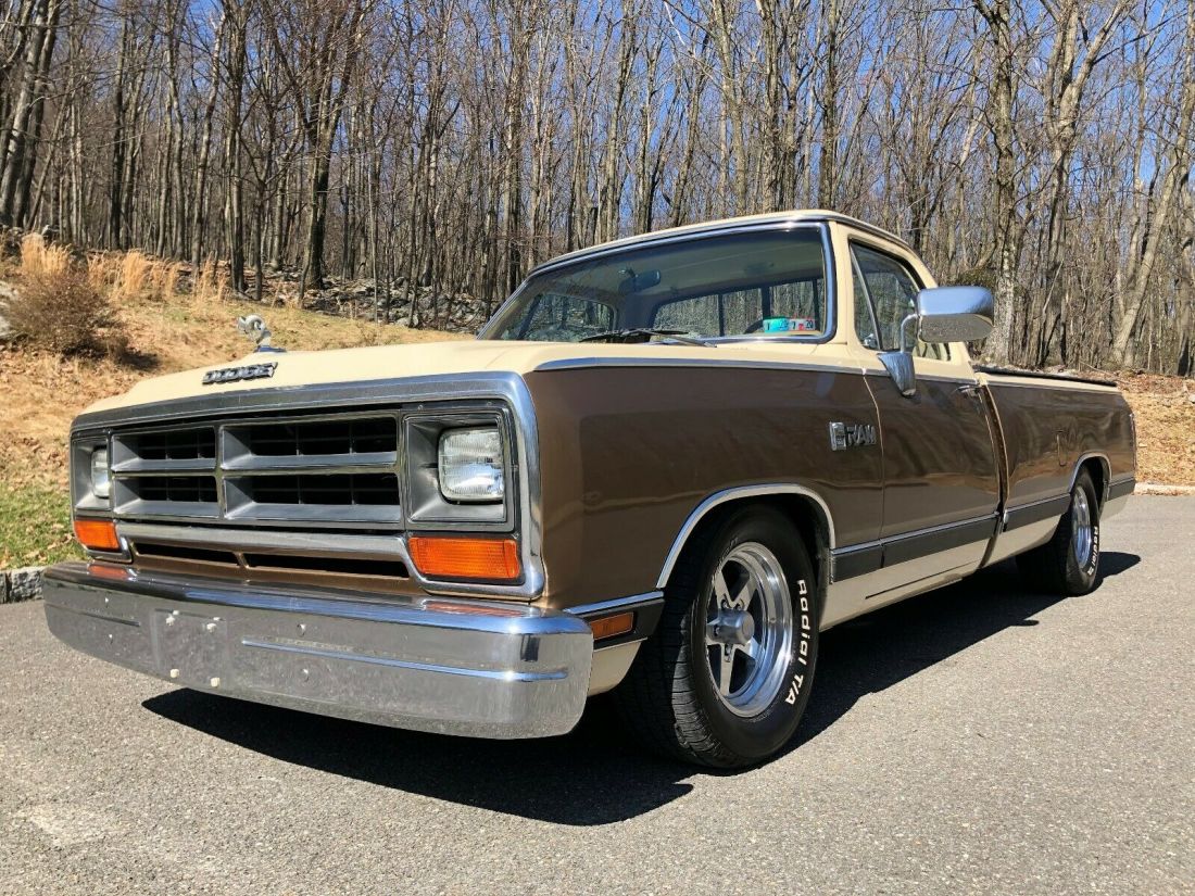 1988 Dodge Ram 1500 2 dr Pickup Truck - photo 2