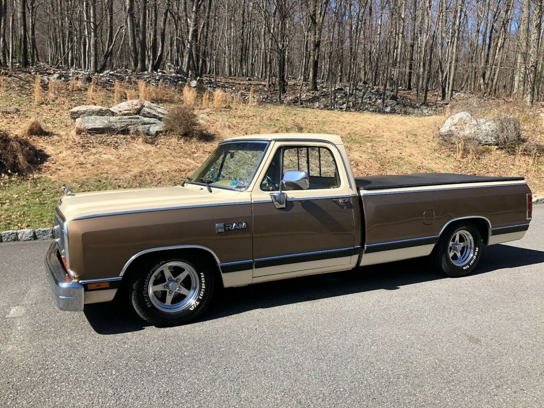 1988 Dodge Ram 1500 2 dr Pickup Truck - photo 3