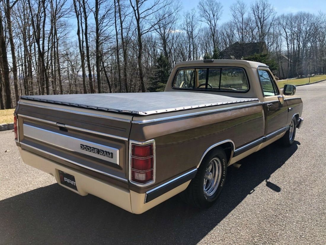 1988 Dodge Ram 1500 2 dr Pickup Truck - photo 7