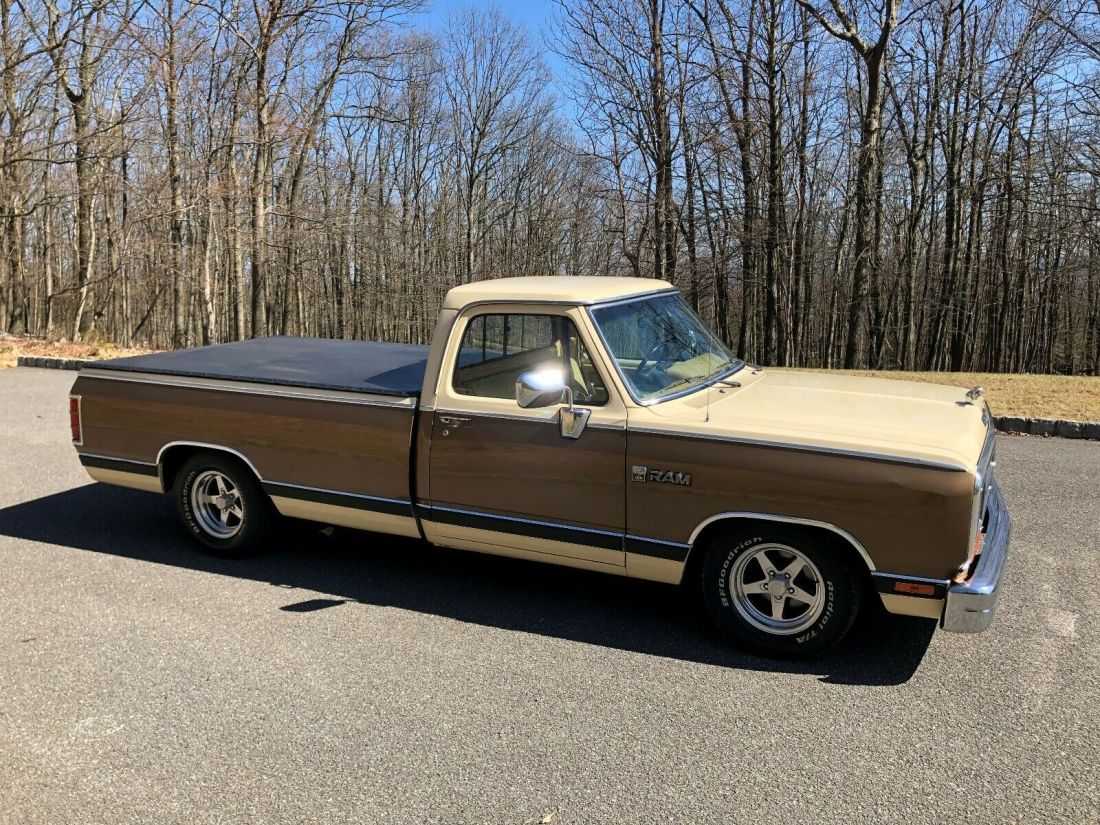 1988 Dodge Ram 1500 2 dr Pickup Truck - photo 9