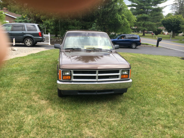 1988 Dodge Dakota 2 Door standard Cab - photo 5